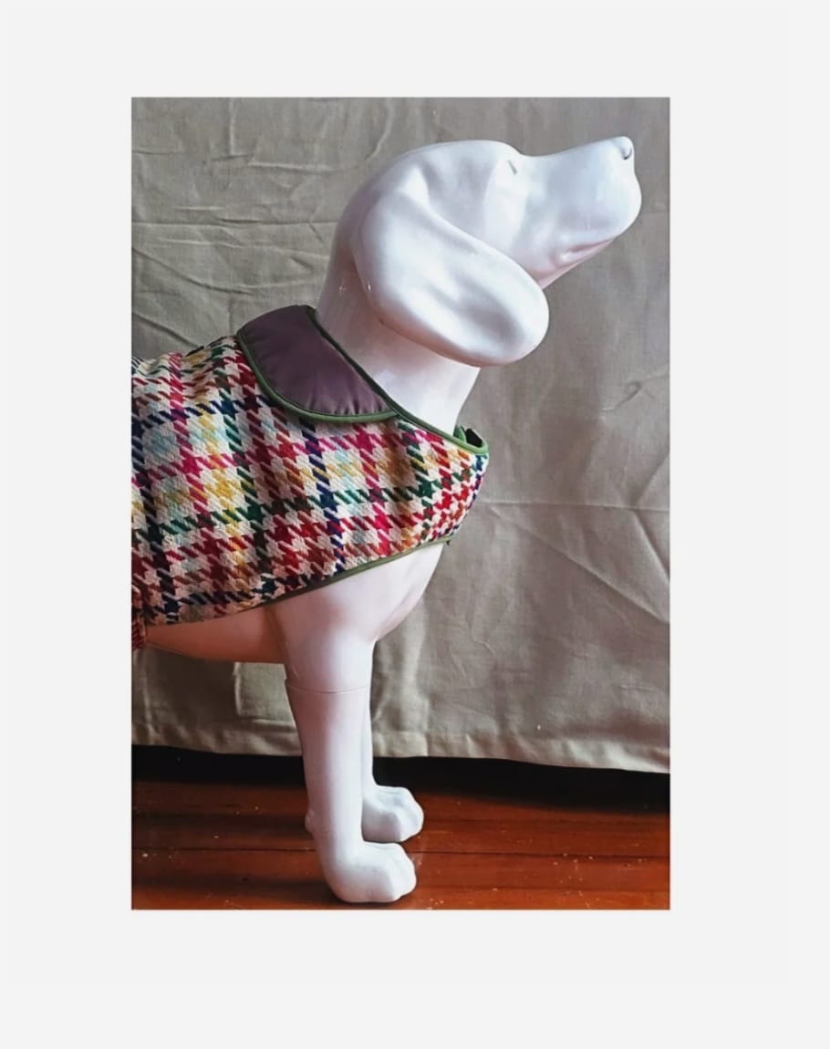 The Cambridge Check Dog Coat