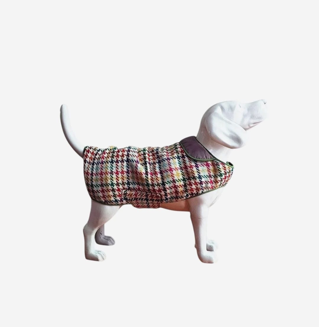 The Cambridge Check Dog Coat