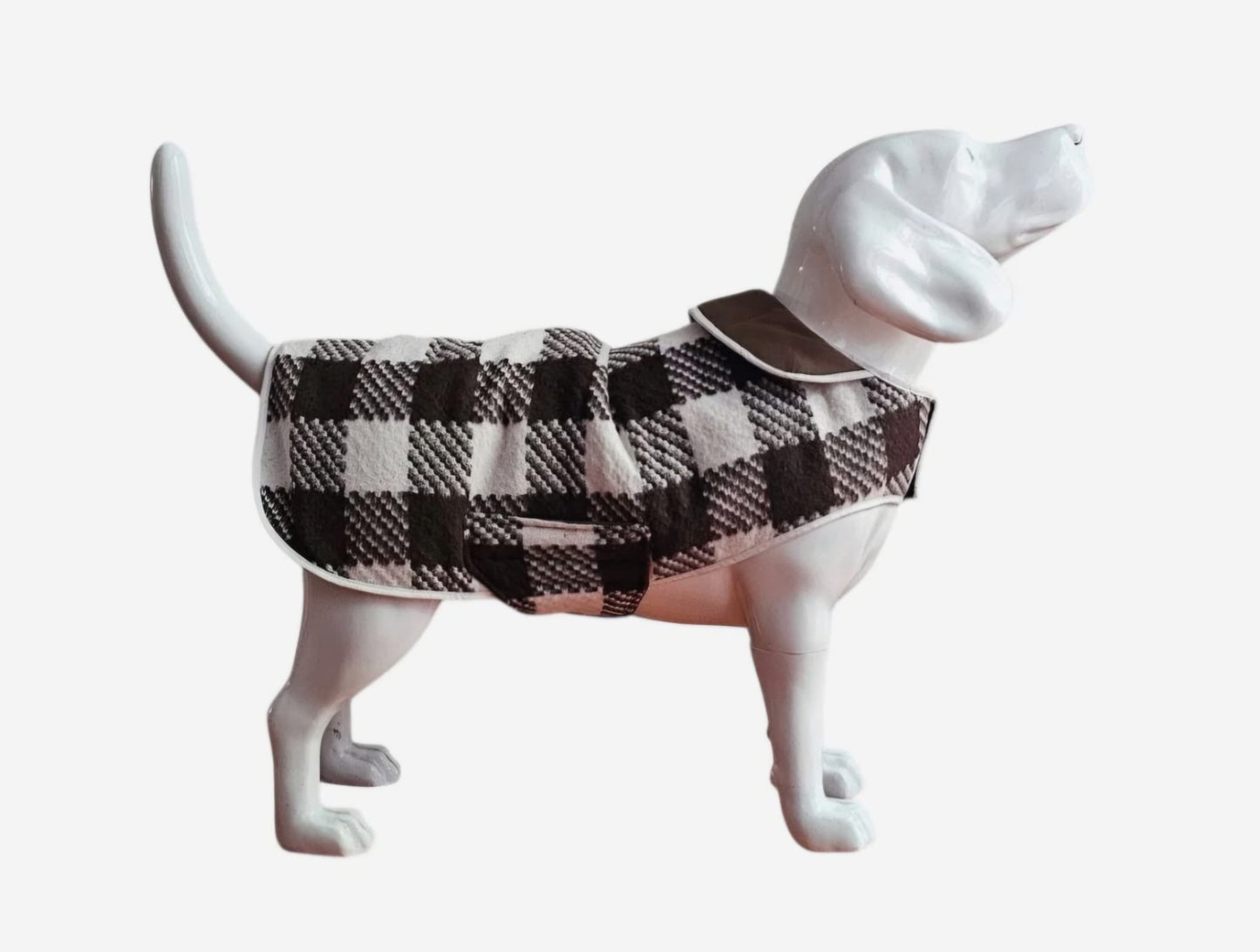 The Oxford Dog Coat (Radcliffe Brown)