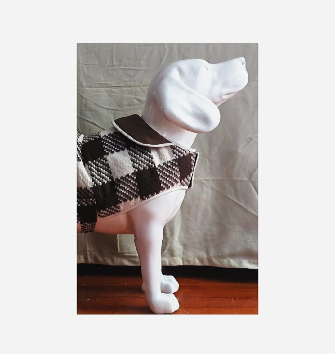 The Oxford Dog Coat (Radcliffe Brown)