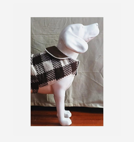 The Oxford Dog Coat (Radcliffe Brown)