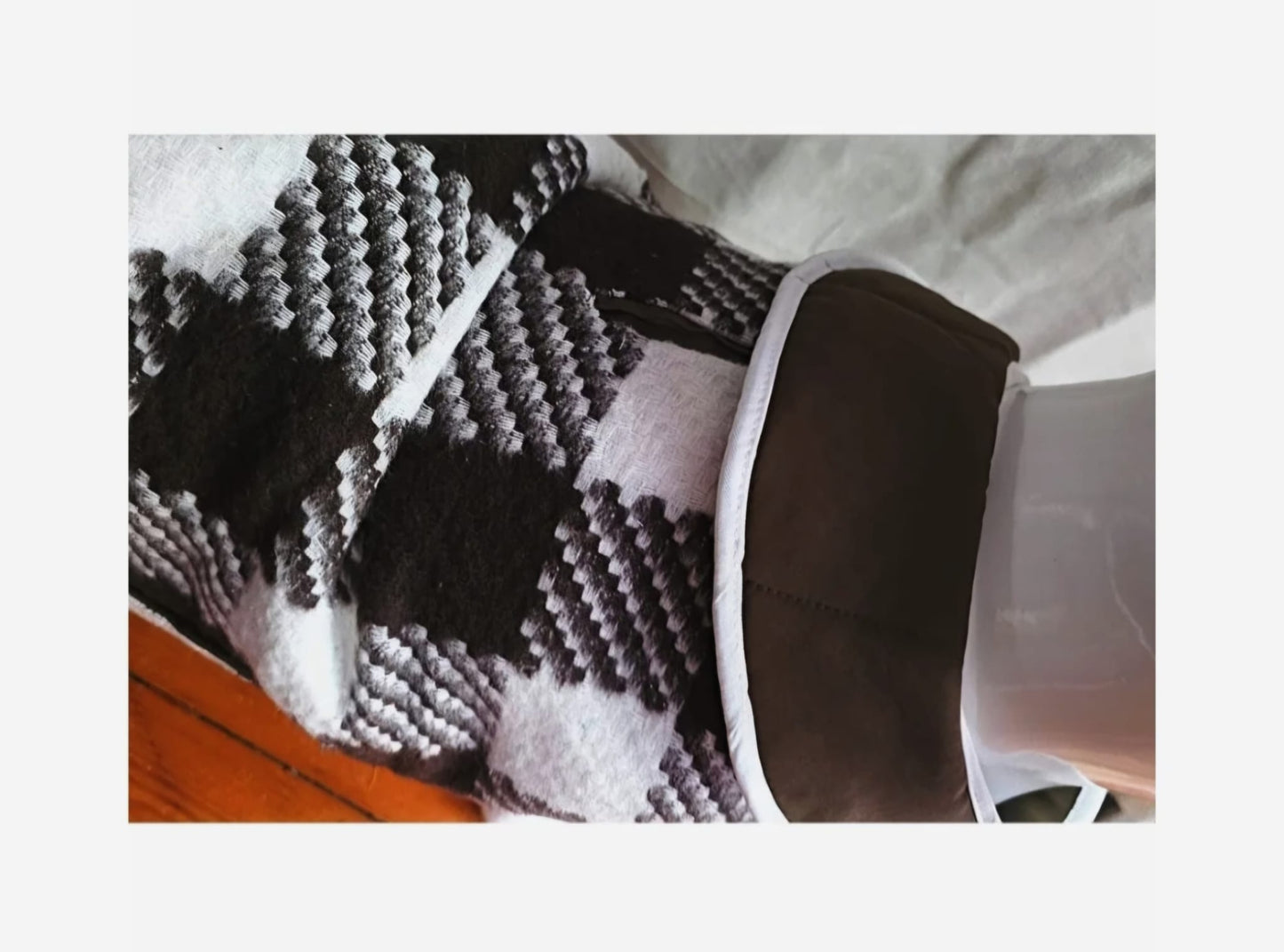 The Oxford Dog Coat (Radcliffe Brown)