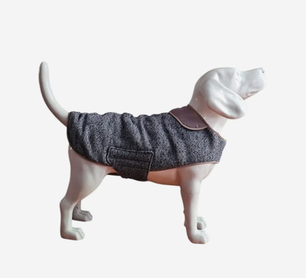 The Denim Rembler Coat