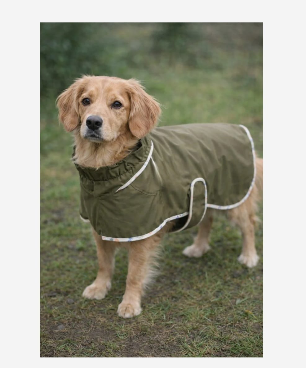 Yağmurluk (Bej-Haki