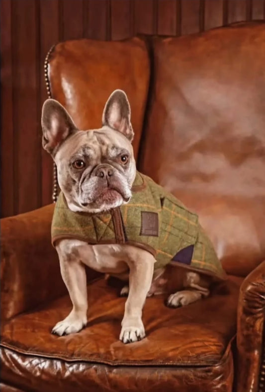 Digby&Fox Tweed Coat